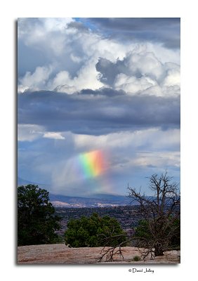 Rainbow, Canyonlands Nat'l Park