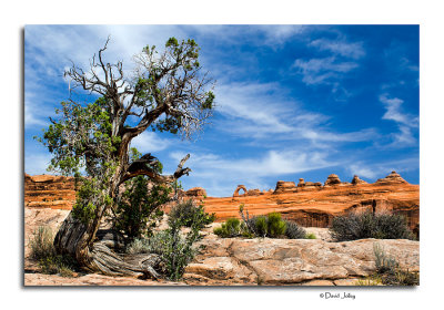 Delicate Arch