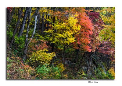Colorful Hillside, Chimney Tops Pullout