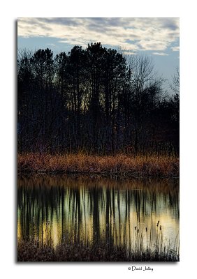 Winter Afternoon, Slate Run