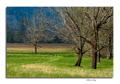 Cades Cove