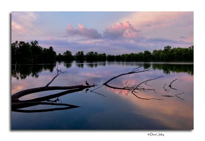 Sunset, Heron Pond- Three Creeks Metro Park