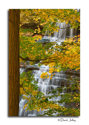 Brandywine Falls