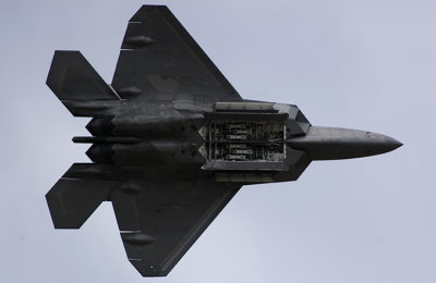 F-22 Raptor