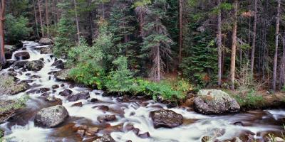 Rocky Mountain NP Stream
