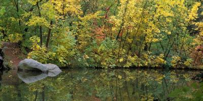 Fall Colors Boulder Creek