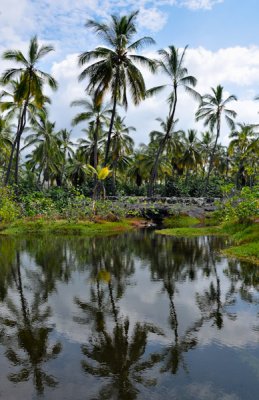 Hawaii-2011-62.jpg