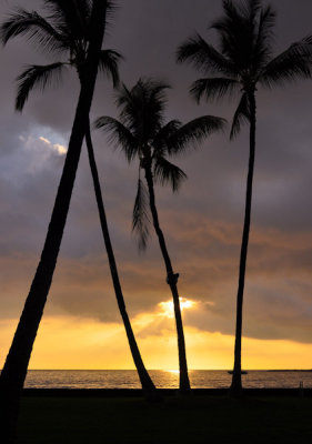 Hawaii - Big Island - Feb. 2011
