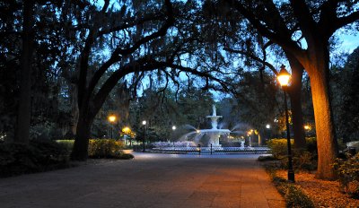 01-Savannah 06.jpg