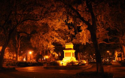 01-Savannah 07.jpg