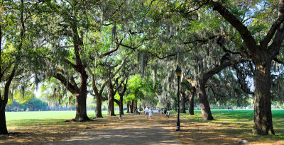 01-Savannah 08.jpg