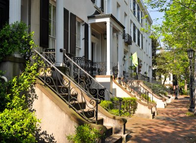 01-Savannah 10.jpg