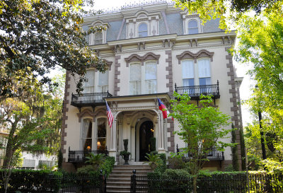 01-Savannah 11.jpg