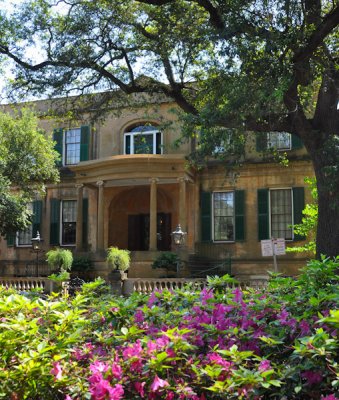 01-Savannah 14.jpg