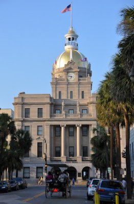 01-Savannah 22.jpg