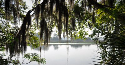 02-Bonaventure Cemetary 01.jpg