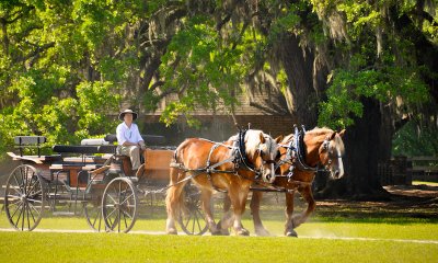 08-Middleton Place 03.jpg