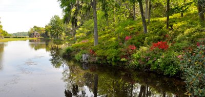 08-Middleton Place 14.jpg