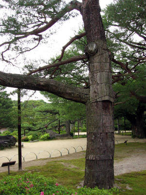 Heian Shrine 026.jpg