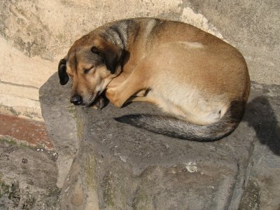 Pompei 02.JPG