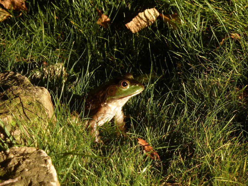 P1020415.JPG
