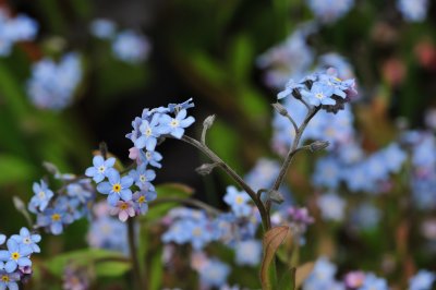 DSC_7372.JPG