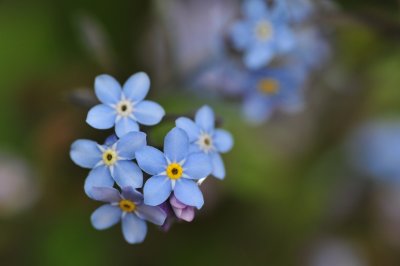 DSC_7377.JPG