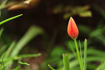 DSC_7391.JPG