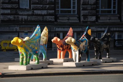 DSC_2297.JPG