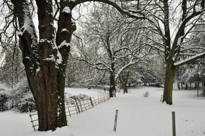 DSC_8347.JPG