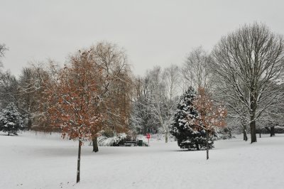 DSC_8352.JPG