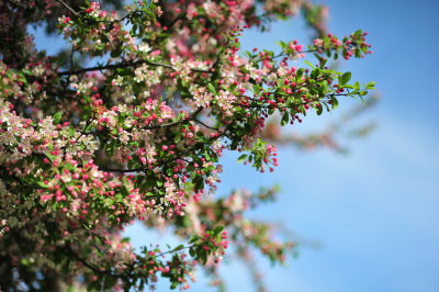 DSC_8588.JPG