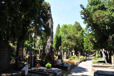 DSC_1403.JPG