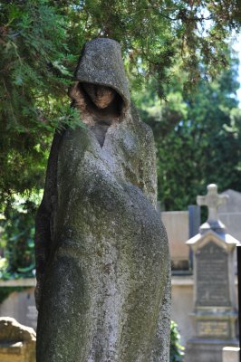 DSC_1407.JPG