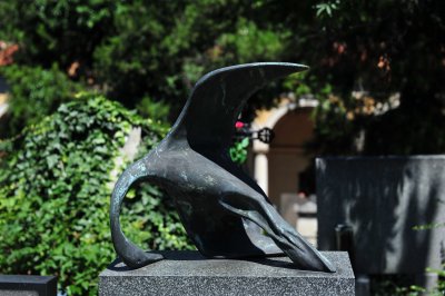 DSC_1411.JPG