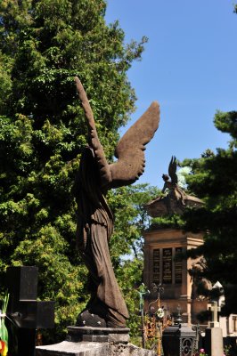 DSC_1427.JPG