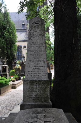 DSC_1447.JPG