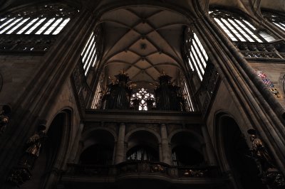 DSC_0662.JPG