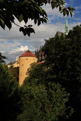 DSC_0859.JPG