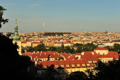 DSC_1242.JPG