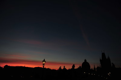 DSC_1335.JPG