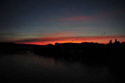 DSC_1336.JPG