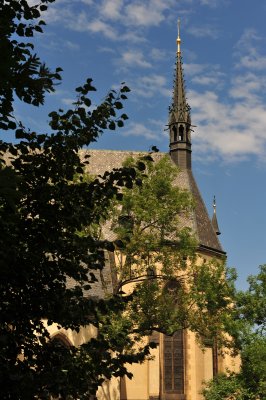 DSC_1454.JPG