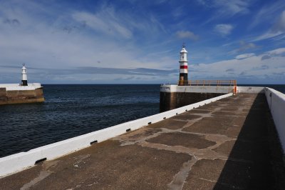 DSC_1866.JPG