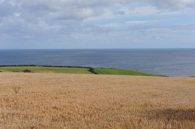 DSC_1900.JPG