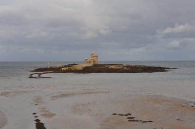 DSC_2017.JPG