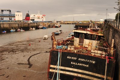 DSC_2033.JPG