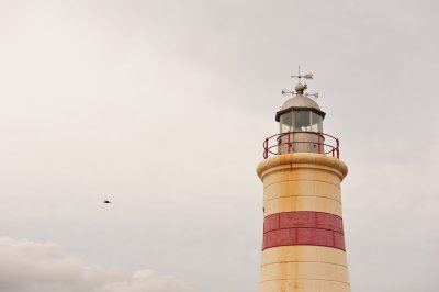DSC_2080.JPG