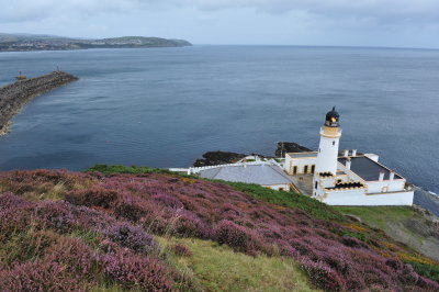 DSC_2106.JPG