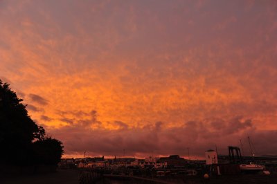 DSC_2130.JPG